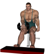 Calf Raise - Single Seated Dumbbell